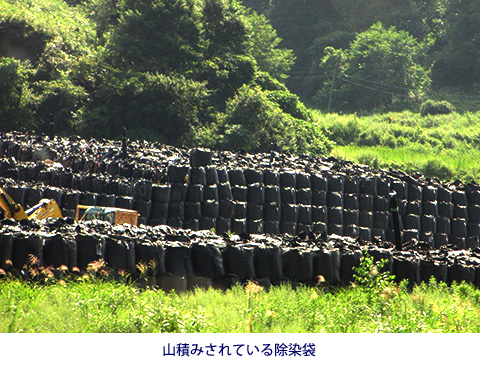 山積みされている除染袋
