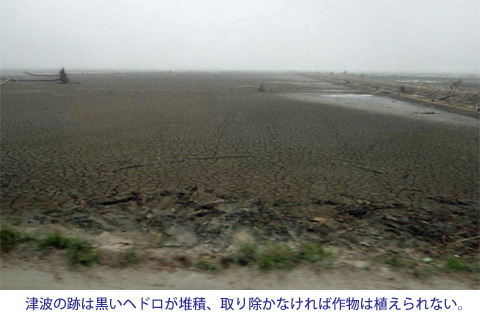 社民党静岡県連