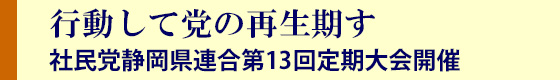 第13回定期大会開催