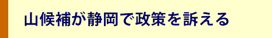 衆院選東海ブロック比例代表候補の山としひろ