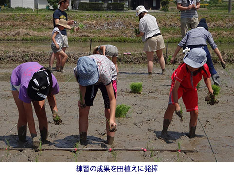 練習の成果を田植えに発揮