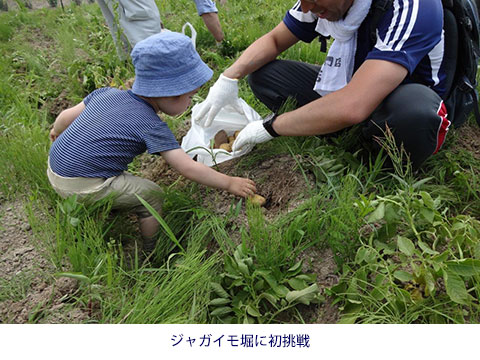 ジャガイモ堀に初挑戦