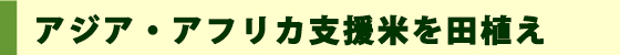 アジア・アフリカ支援米を田植え