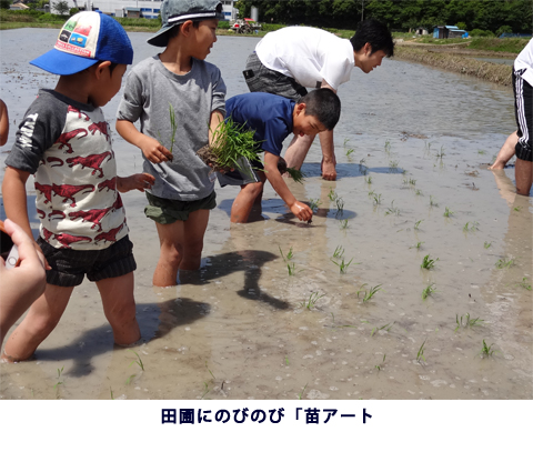 田圃にのびのび「苗アート」