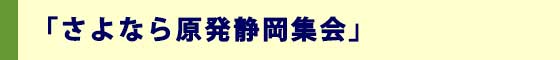 「さよなら原発静岡集会」