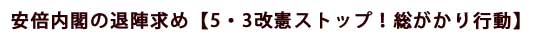 安倍内閣の退陣求め【5・3改憲ストップ！総がかり行動】
